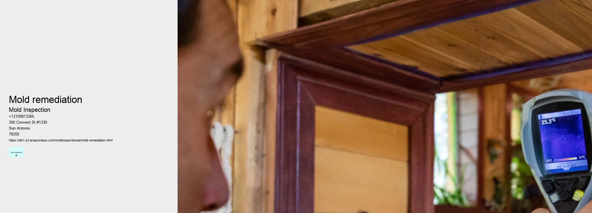 The Types of Mold and How to Identify Them